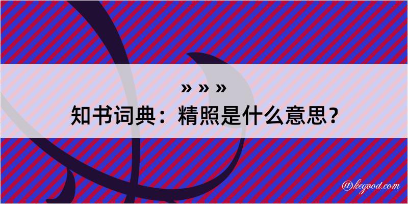 知书词典：精照是什么意思？