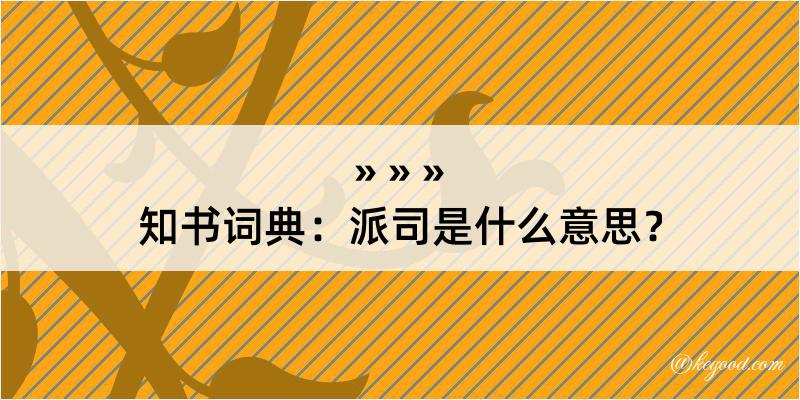 知书词典：派司是什么意思？