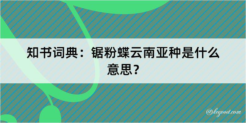 知书词典：锯粉蝶云南亚种是什么意思？