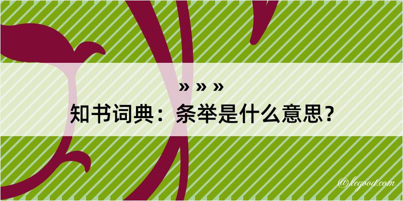 知书词典：条举是什么意思？