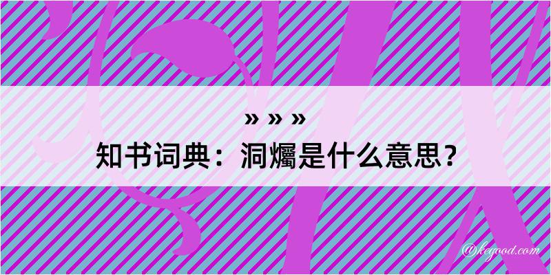 知书词典：洞爥是什么意思？