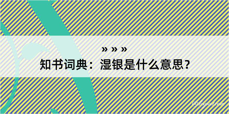 知书词典：湿银是什么意思？