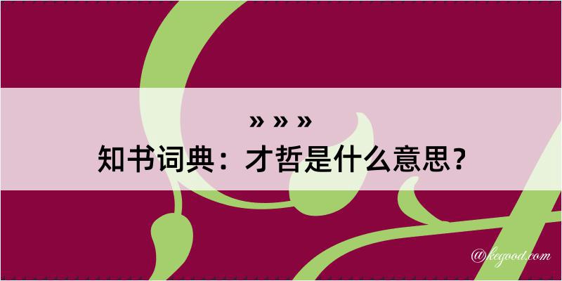 知书词典：才哲是什么意思？