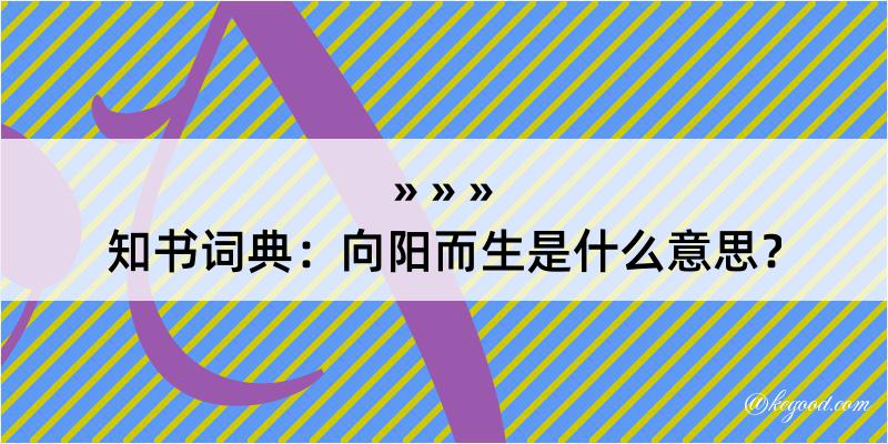 知书词典：向阳而生是什么意思？