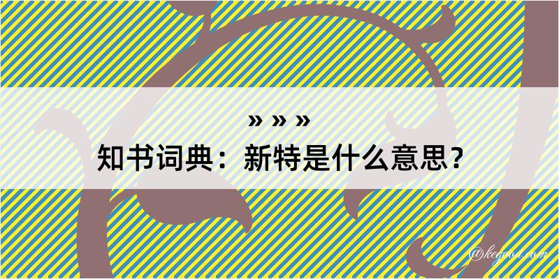 知书词典：新特是什么意思？