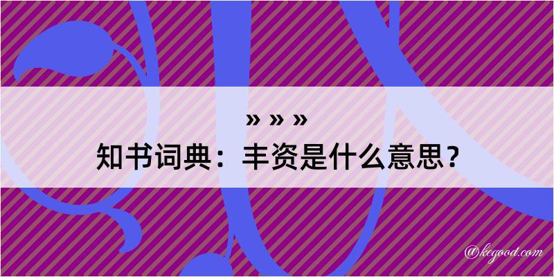 知书词典：丰资是什么意思？