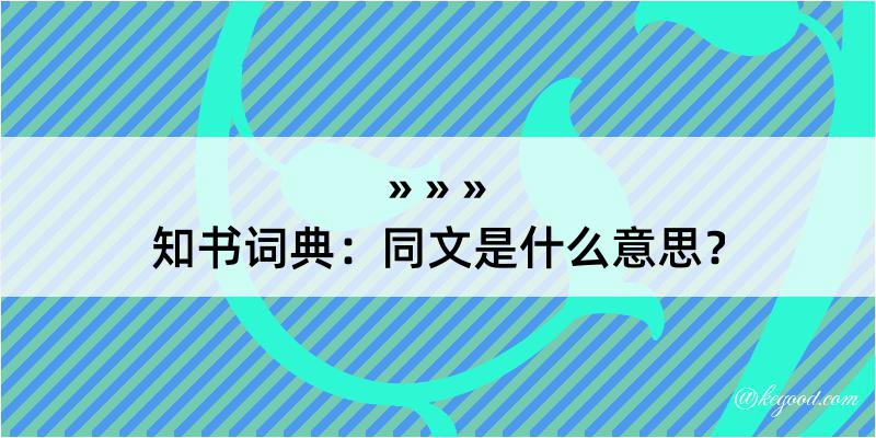 知书词典：同文是什么意思？