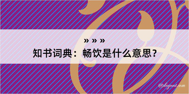 知书词典：畅饮是什么意思？