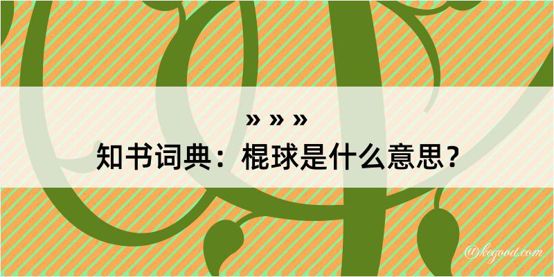 知书词典：棍球是什么意思？