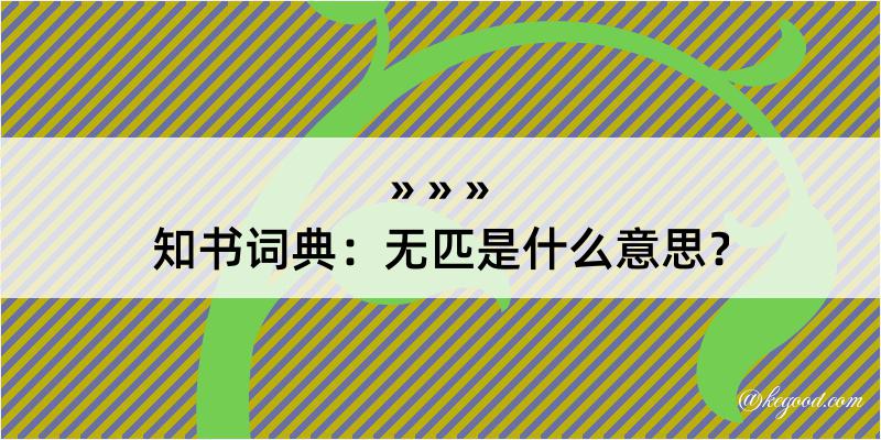 知书词典：无匹是什么意思？