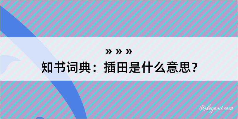 知书词典：插田是什么意思？