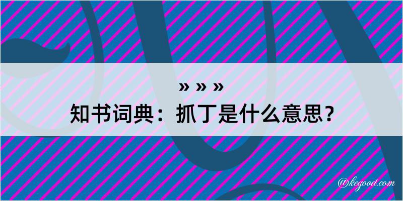 知书词典：抓丁是什么意思？