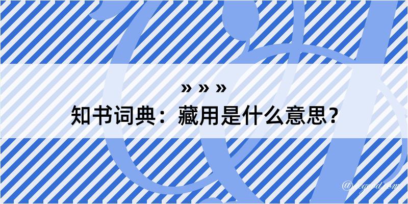 知书词典：藏用是什么意思？