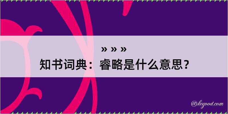 知书词典：睿略是什么意思？