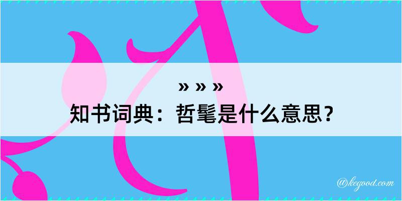 知书词典：哲髦是什么意思？