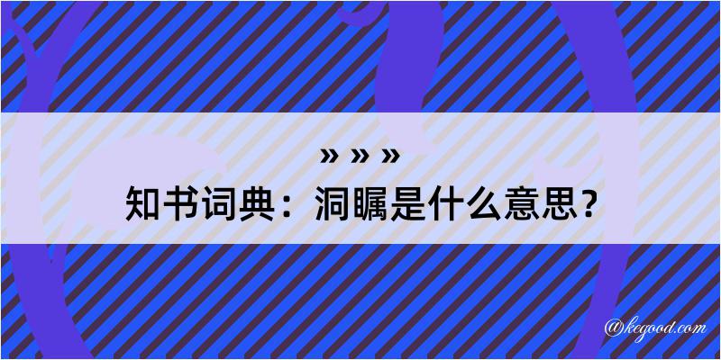 知书词典：洞瞩是什么意思？