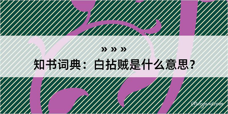 知书词典：白拈贼是什么意思？