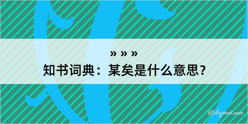 知书词典：某矣是什么意思？