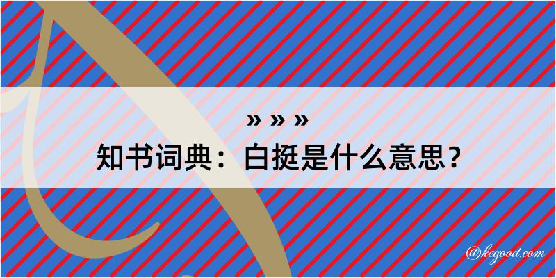 知书词典：白挺是什么意思？