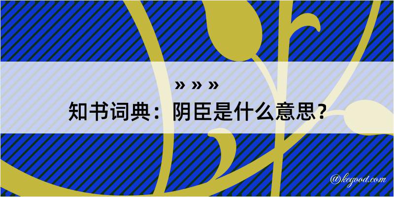 知书词典：阴臣是什么意思？