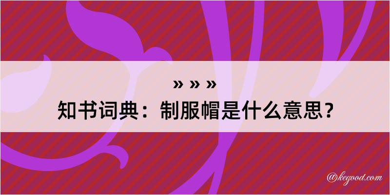 知书词典：制服帽是什么意思？