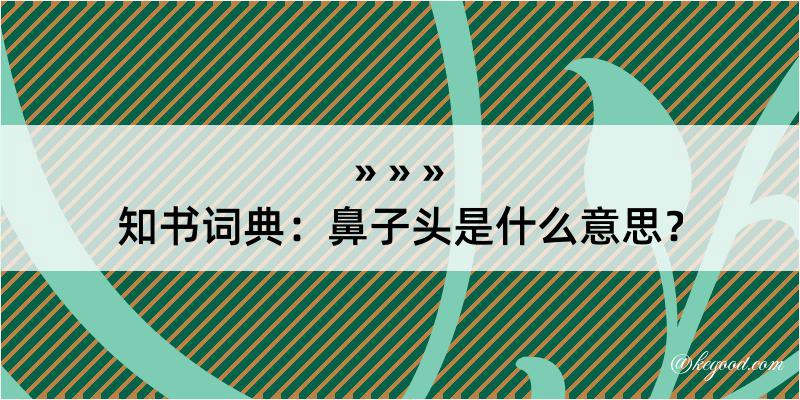 知书词典：鼻子头是什么意思？