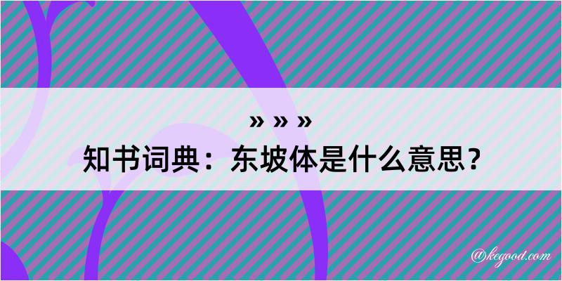 知书词典：东坡体是什么意思？