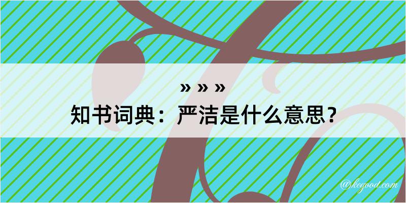 知书词典：严洁是什么意思？