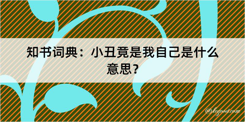 知书词典：小丑竟是我自己是什么意思？