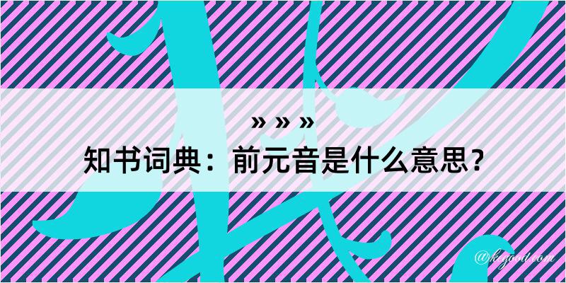 知书词典：前元音是什么意思？