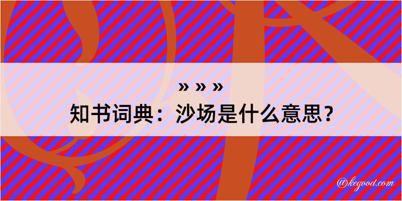 知书词典：沙场是什么意思？