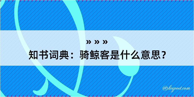 知书词典：骑鲸客是什么意思？