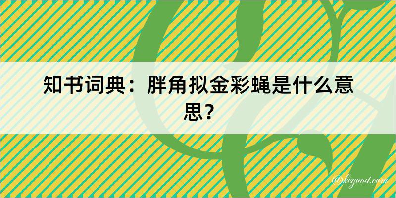 知书词典：胖角拟金彩蝇是什么意思？