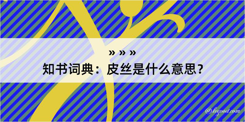 知书词典：皮丝是什么意思？