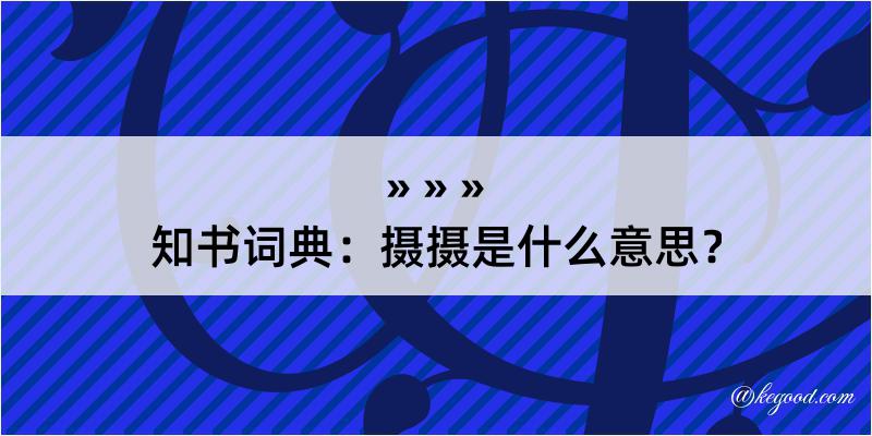 知书词典：摄摄是什么意思？