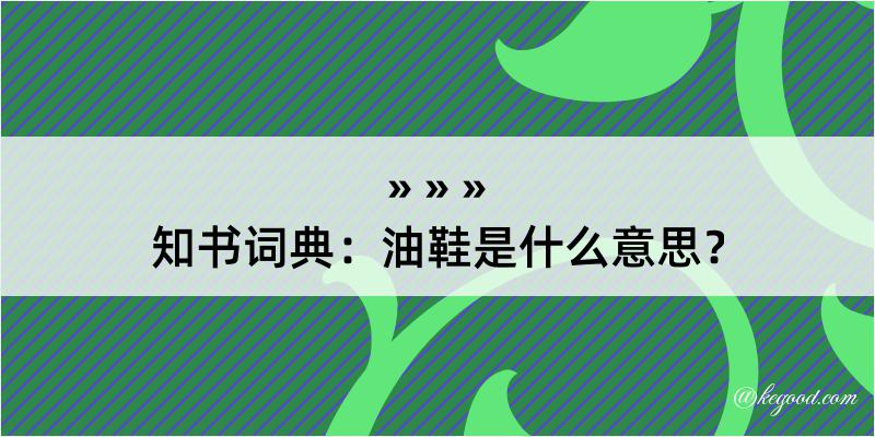 知书词典：油鞋是什么意思？