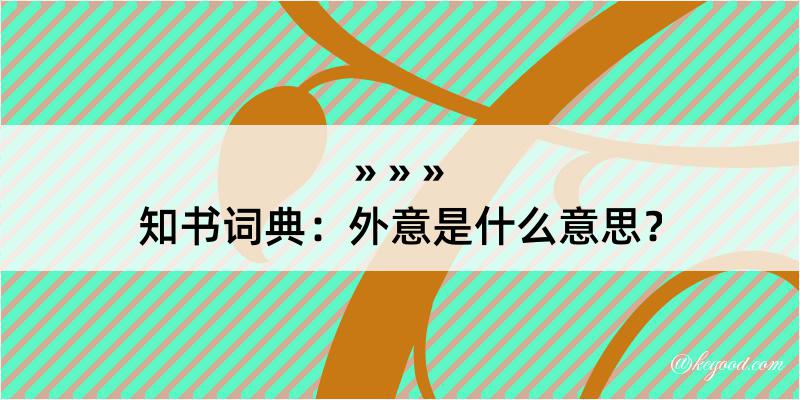 知书词典：外意是什么意思？