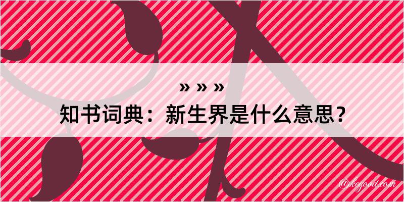 知书词典：新生界是什么意思？