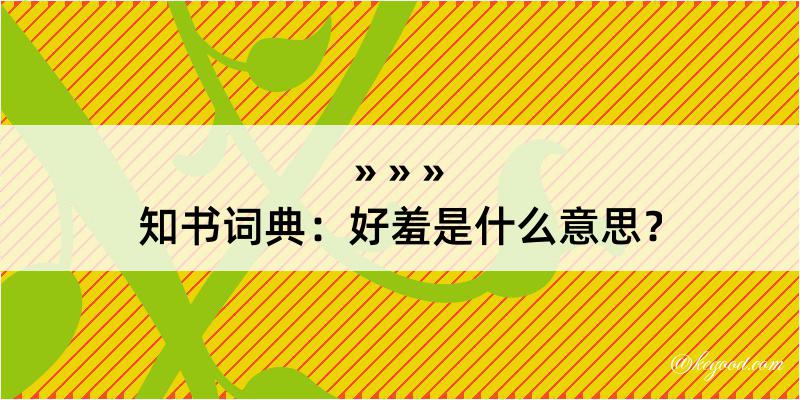 知书词典：好羞是什么意思？