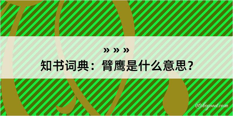 知书词典：臂鹰是什么意思？