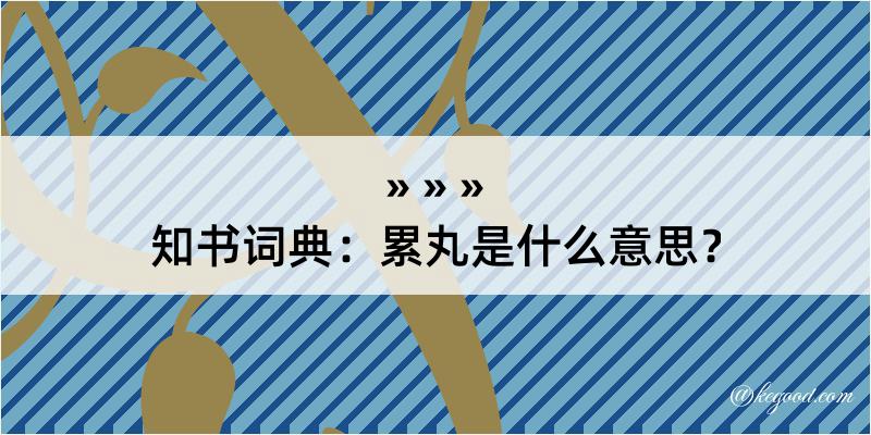 知书词典：累丸是什么意思？