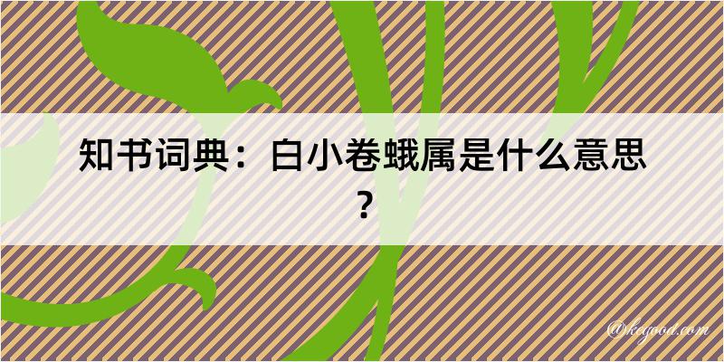 知书词典：白小卷蛾属是什么意思？