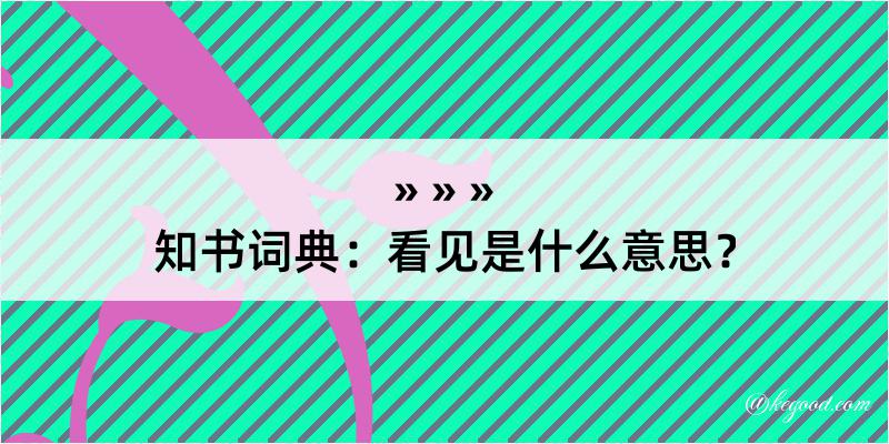 知书词典：看见是什么意思？