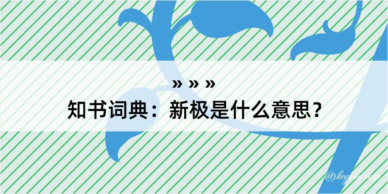 知书词典：新极是什么意思？