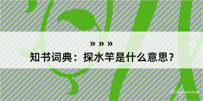 知书词典：探水竿是什么意思？