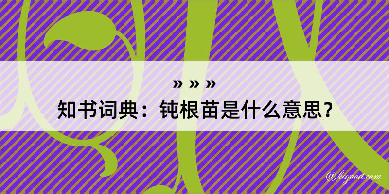 知书词典：钝根苗是什么意思？