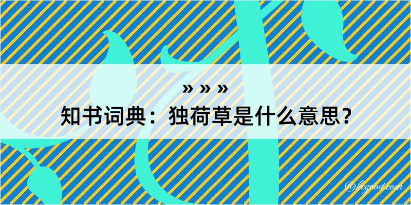 知书词典：独荷草是什么意思？