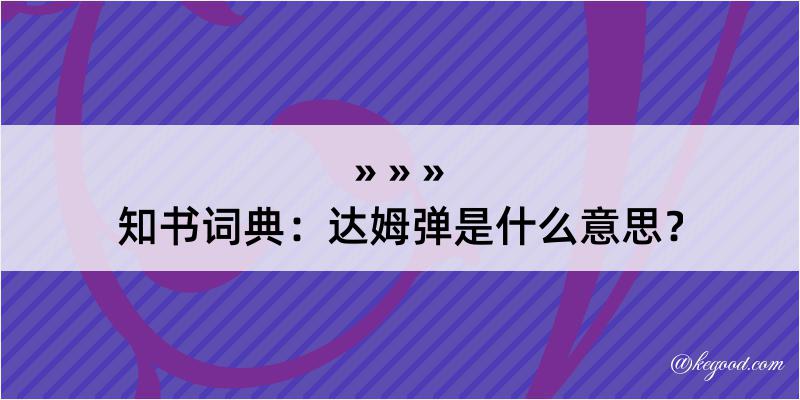 知书词典：达姆弹是什么意思？