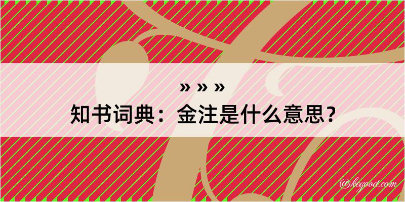 知书词典：金注是什么意思？