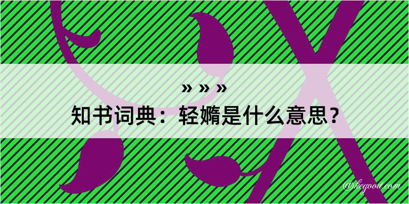 知书词典：轻嫷是什么意思？